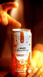 [1018441] MIN SPARKLI GINGERBEER LAT 355MLX24